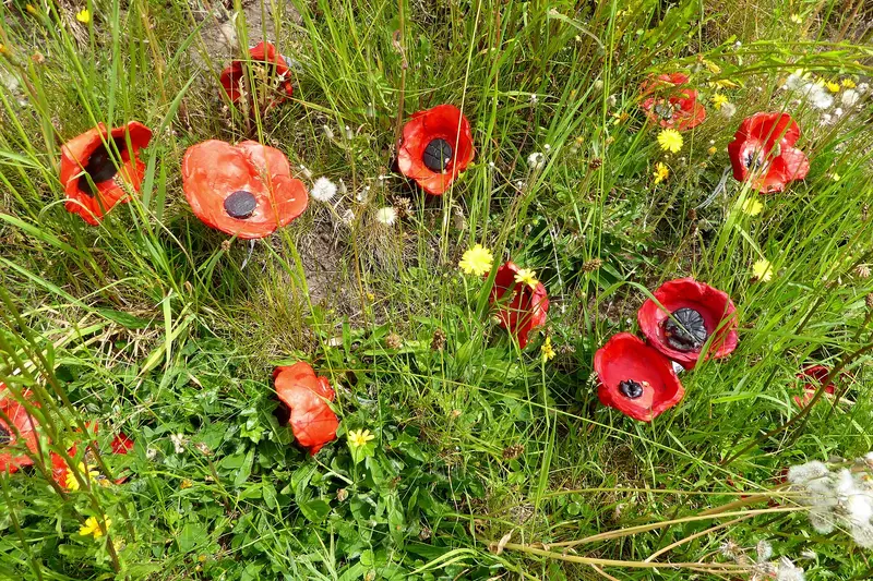 Abergavenny Castle: Ceramic poppies commemorating the centenary of the First World War on the slopes of the Abergavenny Castle.