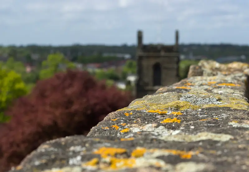 Ashby de la Zouch Castle: Another view
