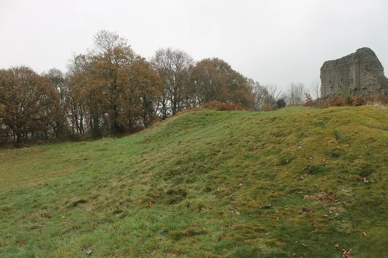 Caergwrle Castle: Caergwrle Castle is located in the town of Caergwrle, in Flintshire, Wales. It was the final castle to be built by Welsh Princes, before the loss of Welsh indepen