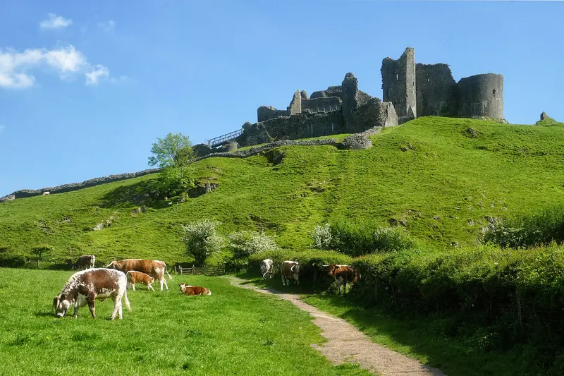 Carreg Cennen Castle: This picture was uploaded via app "Wiki Loves Monuments United Kingdom" .