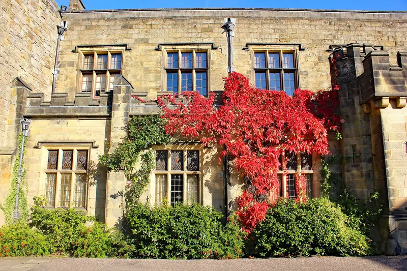 Chirk Castle: Autumnal Colours in Chirk Castle