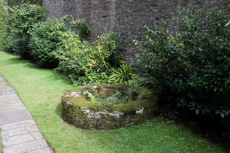 Compton Castle (Devon): Marldon: COMPTON CASTLE, E fortification wall