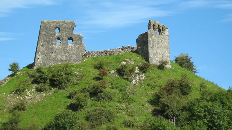Dryslwyn Castle: Taken at Dryslwyn Castle