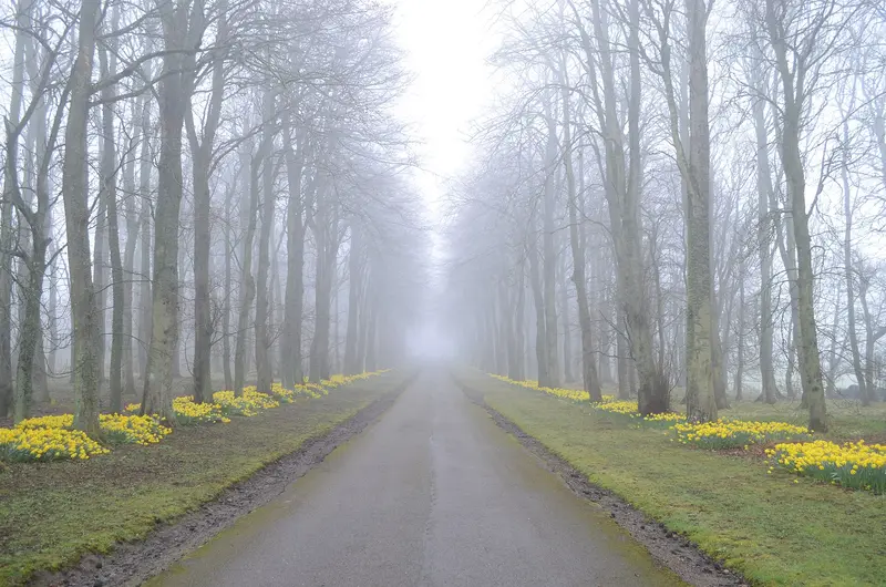 Dunrobin Castle: Driveway to Dunrobin Castle, Scotland