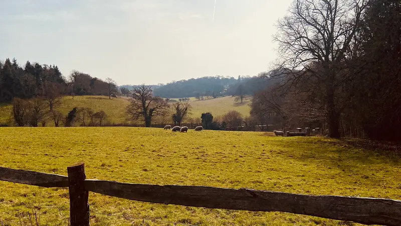 Greys Court: National Trust Greys Court entrance, photo is of field opposite