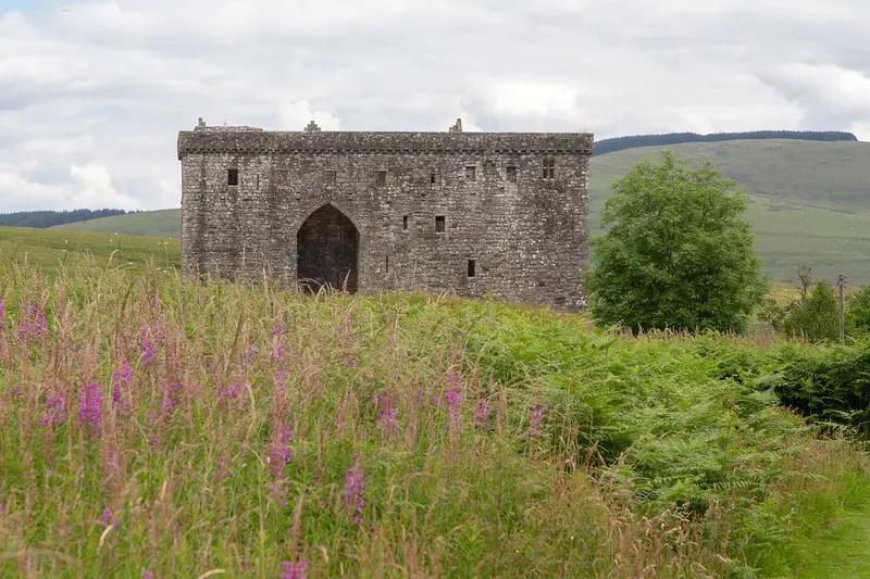 Hermitage Castle & Chapel: Hermitage Castle
