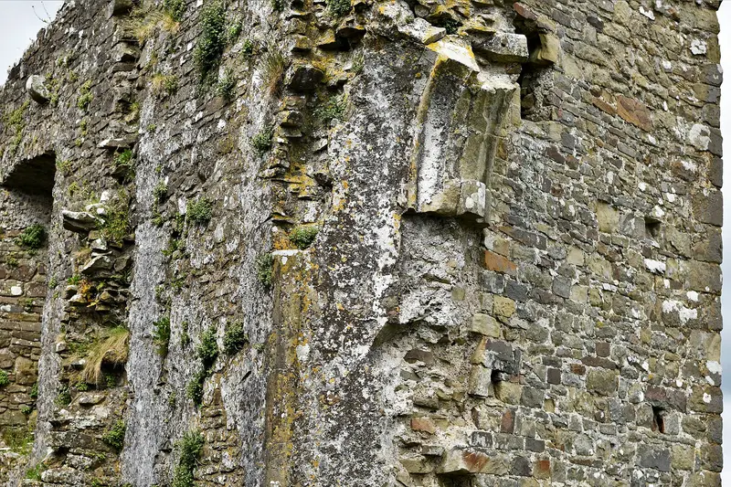 Llawhaden Castle: Llawhaden Castle: All that is left of a first floor doorway into the apartments