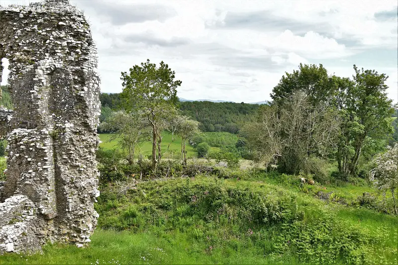 Llawhaden Castle: Llawhaden Castle: Churchill Wood from the Chapel Tower