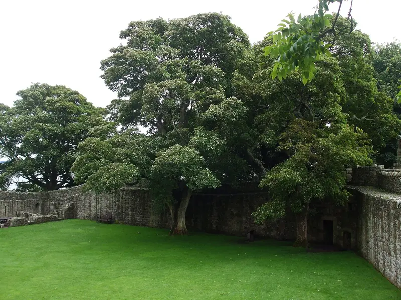 Lochleven Castle: Lochleven Castle