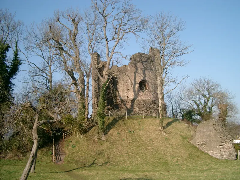 Longtown Castle: Longtown castle and town .mw-parser-output .messagebox{margin:4px 0;width:auto;border-collapse:collapse;border:2px solid var(--border-color-progressive,#6485d1);ba