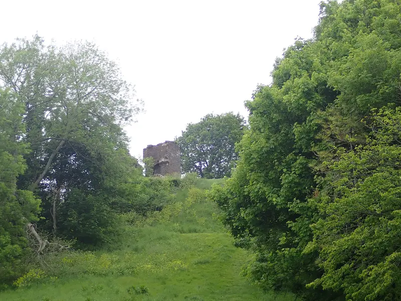 Loughor Castle: Glimpse of Loughor Castle from the Wales Coast Path