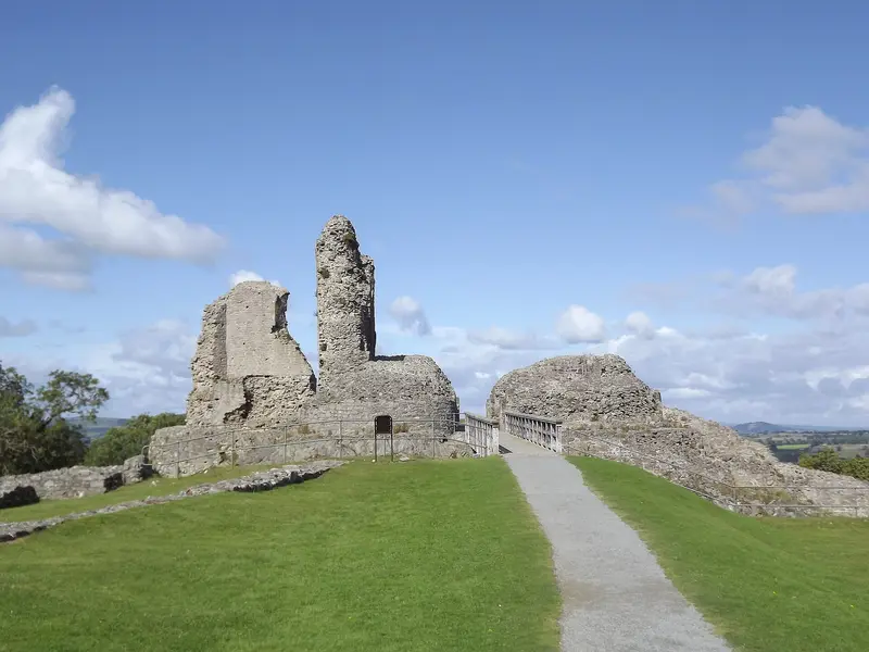 Montgomery Castle: This is a photo of listed building number