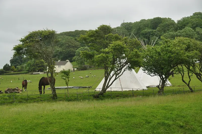 Ogmore Castle: Field by Ogmore Castle