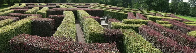 Scone Palace: Scone Abbey, maze