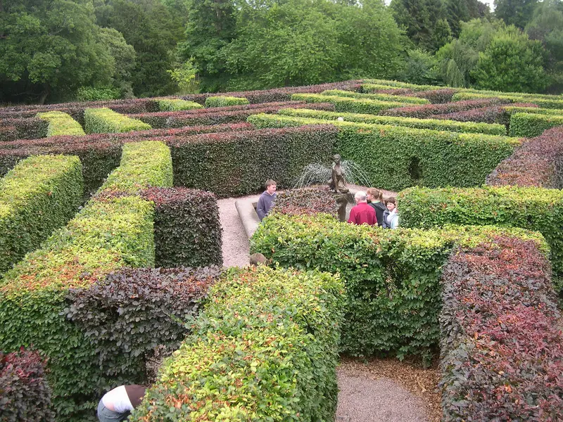 Scone Palace: Maze at Scone Palace .
