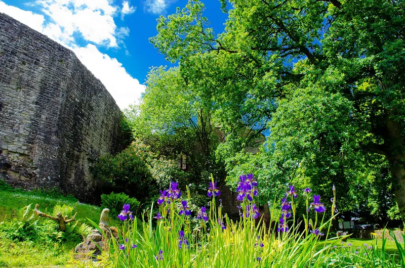 St Briavels Castle: St Briavels Castle is a moated Norman castle at St Briavels in the English county of Gloucestershire. The castle is noted for its huge Edwardian gatehouse that 