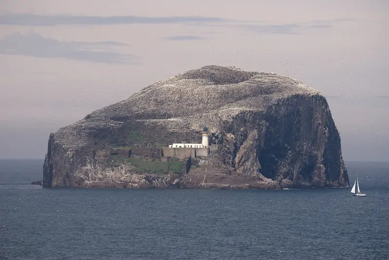 Tantallon Castle: Bass Rock from Tantallon Castle