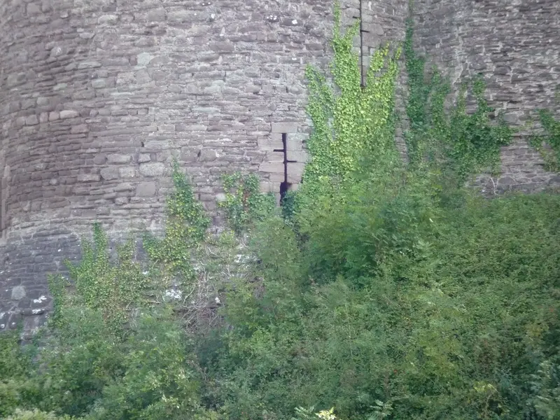 White Castle: Arrow-Slit Window outside White Castle (West Tower in Outer Ward | Llanvetherine)